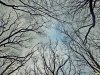 2016-01-14_Dubinsky-Les_DSCN7320