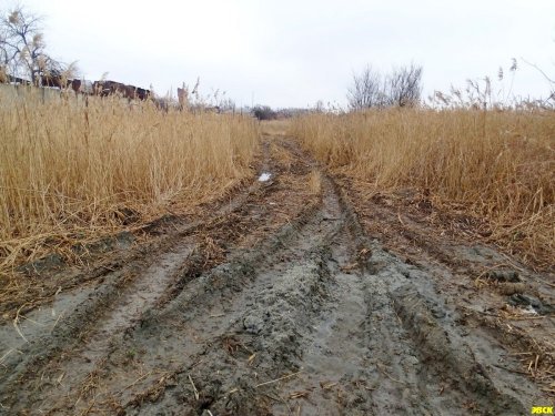 По плавневой зоне в районе авторынка в Краснодаре проложены дороги, по которым завозится мусор и землю для отсыпки их территории