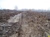 Краснодар, рекреационная зона возле авторынка. Здесь еще недавно был лес