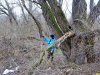 Краснодар. Пойменный лес в районе авторынка приговорен властями Краснодара к уничтожению в коммерческих целях