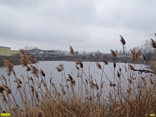 Инспекция берегов озера Горская старица в городе Краснодаре 