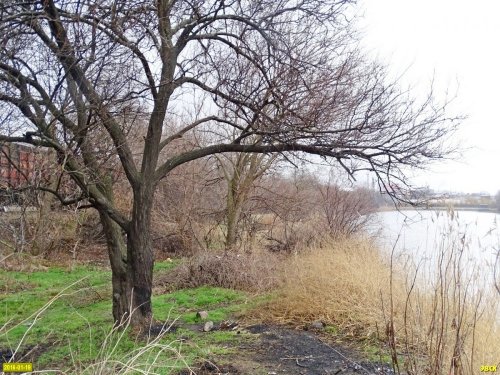 Инспекция берегов озера Горская старица в городе Краснодаре 