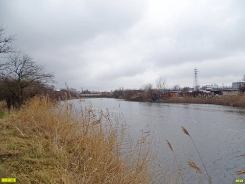 Инспекция берегов озера Горская старица в городе Краснодаре 