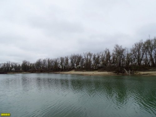 Пойменный лес на Горской косе в Краснодаре