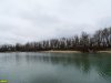 Пойменный лес на Горской косе в Краснодаре