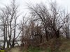 Пойменный лес на Горской косе в Краснодаре