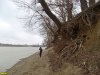 Пойменный лес на Горской косе в Краснодаре