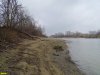 Пойменный лес на Горской косе в Краснодаре