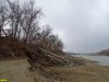 Пойменный лес на Горской косе в Краснодаре