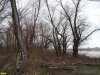 Пойменный лес на Горской косе в Краснодаре