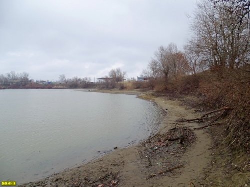 Пойменный лес на Горской косе в Краснодаре