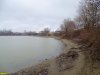 Пойменный лес на Горской косе в Краснодаре