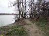 Пойменный лес на Горской косе в Краснодаре
