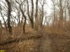Пойменный лес на Горской косе в Краснодаре
