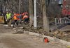 Вырубка деревьев на Ростовском шоссе в Краснодаре