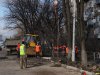 Вырубка деревьев на Ростовском шоссе в Краснодаре