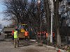 Вырубка деревьев на Ростовском шоссе в Краснодаре