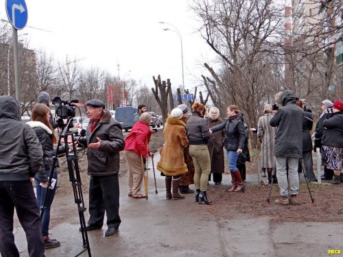 Краснодар, Ростовское шоссе. Журналисты берут интервью у жителей по поводу планируемой вырубки лесополосы