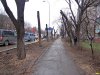  От деревьев оставили только одни стволы