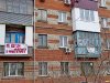 Жители Ростовского шоссе выражают свой протест против вырубки деревьев возле их домов