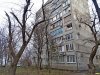 Жители Ростовского шоссе выражают свой протест против вырубки деревьев возле их домов