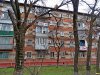 Жители Ростовского шоссе выражают свой протест против вырубки деревьев возле их домов