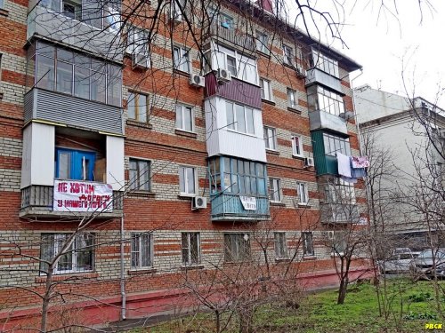 Жители Ростовского шоссе выражают свой протест против вырубки деревьев возле их домов