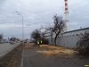 Уничтожение деревьев на Ростовском шоссе в Краснодаре