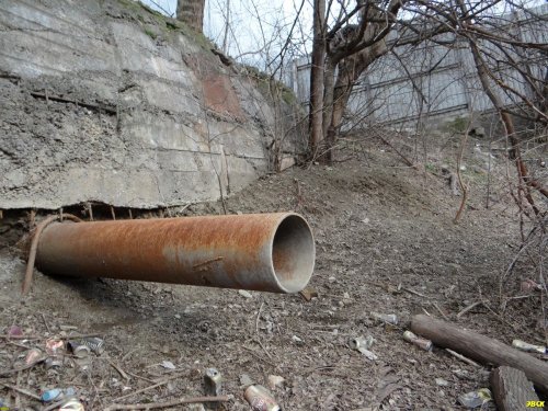 Инспекция озера Горская старица в Краснодаре 