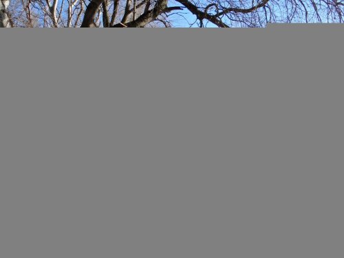 2016-02-18_Zel-ostrow_DSC00884