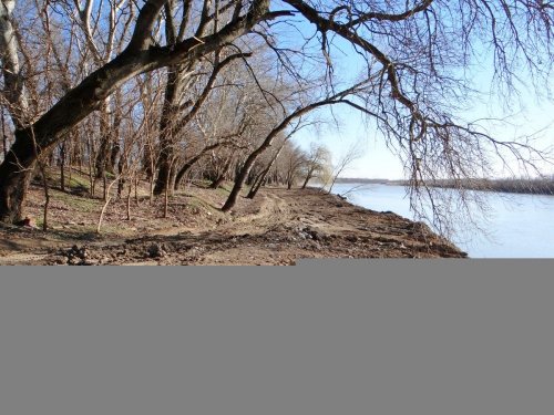 2016-02-18_zelen-ostrow_DSC00884