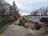 На Ростовском шоссе снова рубят деревья