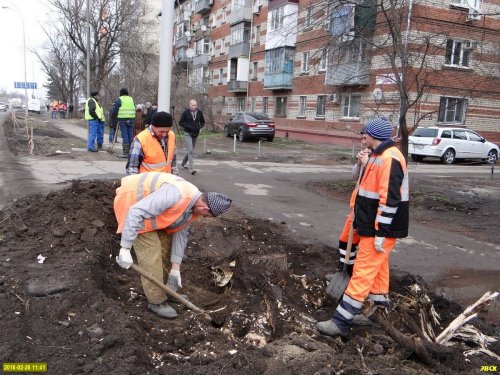 Рабочие пытаются выкорчевать пень от дерева 