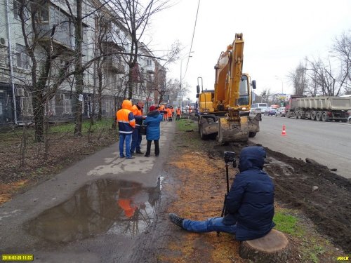 Активисты блокируют выкарчёвывание пней 