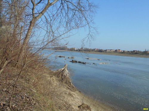 (2016.03.06) Краснодарский лесопарк 