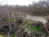 Оперативные мероприятия на карьере близ ст. Натухаевской