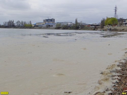 Зеленый остров. Пена на поверхности реки Кубань, образовавшаяся в результате работ по ее засыпке 