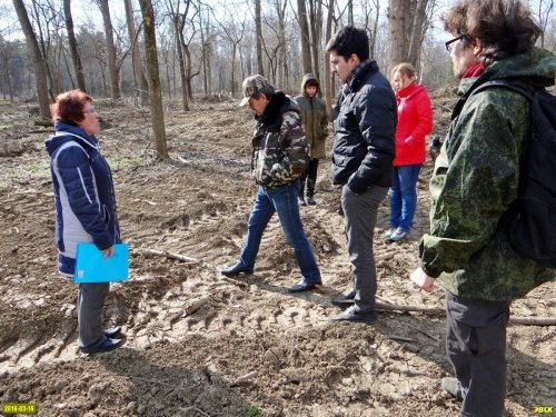 Комиссия Рослесхоза осматривает территорию лесопарка Красный Кут