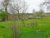 На выбранном для посадок пустыре вовсю ведутся работы