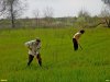 На выбранном пустыре вовсю ведутся работы.