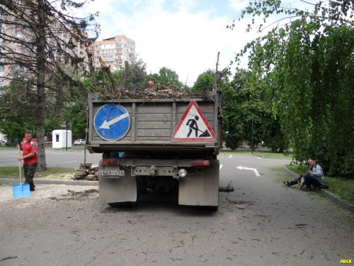 Вырубка деревьев в памятнике природы Чистяковская роща 