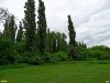 Участок в краснодарском парке 30-летия Победы, сданный в аренду семье Ахеджака