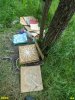2016-05-13_Krs-Vavilova_DSC06247