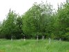 2016-05-13_Krs-Vavilova_DSC06273