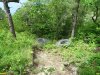 Незаконный забор вокруг участка лесного фонда, ограждавший раньше "дачу Ремезкова" демонтирован