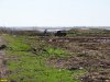 Местное население вывозит навоз на свалку возле  оз. Ханское, Ейский район