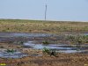 Непонятно, что может вырасти на этой отравленной почве, Ейский район