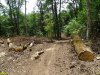 Последствия варварских рубок на горе Липовой в районе станицы Шапсугской