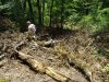 Последствия варварских рубок на горе Липовой в районе станицы Шапсугской