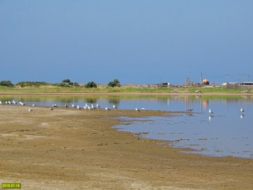 Остатки воды в лимане